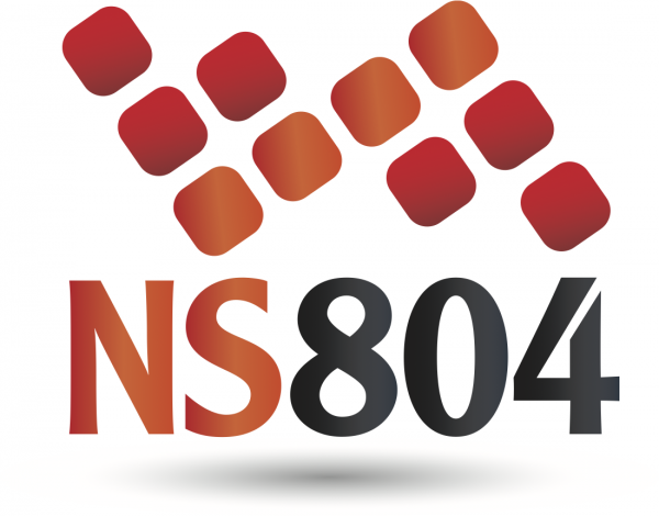 ns 804 logo